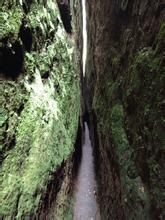 一線天[福建武夷山一線天]