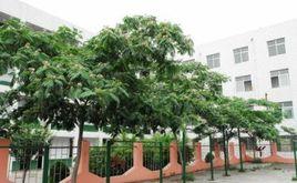 山東省新泰市新汶中學 山東省新泰市新汶中學