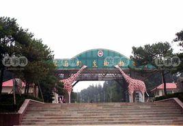 濟南野生動物園