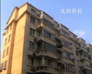 友新新村 友新新村