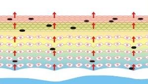 橙花精油純露水祛除黑色素
