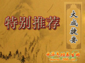 《大成捷要》 《大成捷要》