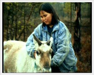 神鹿啊我們的神鹿