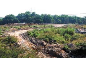 永興村委會 永興村委會