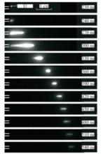 圖5 電漿射流的時間特性