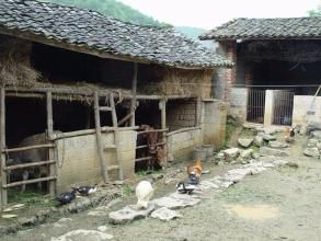 紅梁子自然村 紅梁子自然村