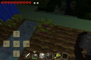 甜菜根[遊戲[Minecraft]中的一種食物]