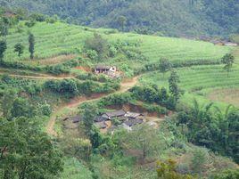 立果村村委會 立果村村委會