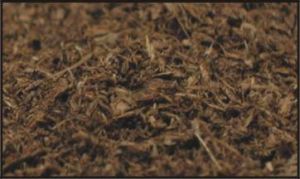 構造湖盆型泥炭 構造湖盆型泥炭