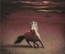 東方騰弘（雪山秋色）2011年作