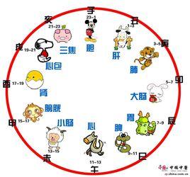 中醫養生師 中醫養生師