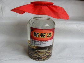 蛇酒 蛇酒