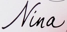 Nina[.NET 的微型 Web 框架]