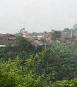 草皮寨村 草皮寨村