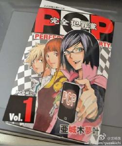 PCP完全犯罪黨 PCP完全犯罪黨