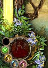 精靈大陸 精靈大陸