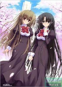 十條紫苑 十條紫苑