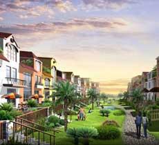 深圳市瑞河耶納 深圳市瑞河耶納