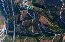 奉節臍橙種植基地