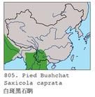 白斑黑石鵖分布區域圖