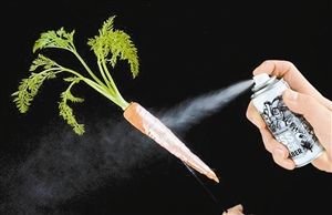 可食用噴漆 可食用噴漆