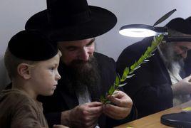 猶太人教育 猶太人教育