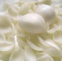 百合桂圓羹 百合桂圓羹