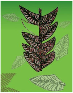 櫛羊齒屬 櫛羊齒屬