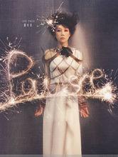 pause[英文單詞pause]