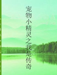 寵物小精靈之我是傳奇 寵物小精靈之我是傳奇