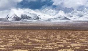 祁連山區哈拉湖盆地中的荒漠植被