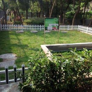 湖墅街道 湖墅街道