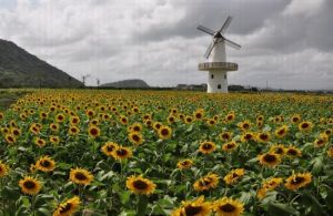 歡樂佳田農場 歡樂佳田農場