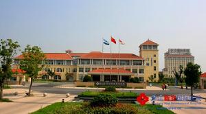 胸椎結核單純病灶清除術 胸椎結核單純病灶清除術