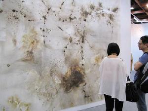 被譽為“小款藏家”的80後