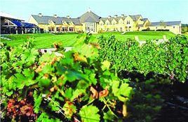 土地租佃 土地租佃