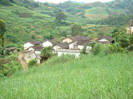 黑山自然村[雲南省文山古木鎮紙廠村委會黑山自然村]