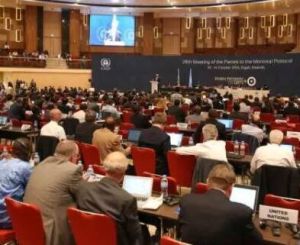 第28次締約方大會（MOP 28）現場