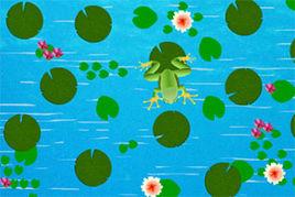 小青蛙吃蟲子 小青蛙吃蟲子