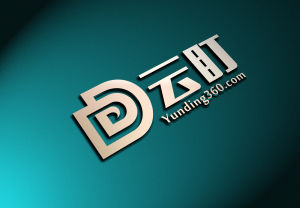 盯盯科技 盯盯科技