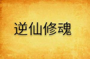 逆仙修魂 逆仙修魂