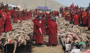 青海省地震 青海省地震