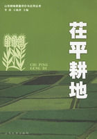 茌平耕地 茌平耕地