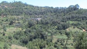 煙子廠下寨自然村全貌