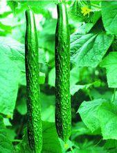 川翠1號 川翠1號