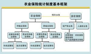 農業保險統計指標 農業保險統計指標