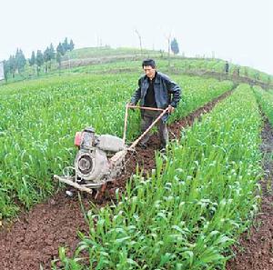 前郭爾羅斯蒙古族自治縣