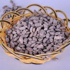 長興吊瓜籽 長興吊瓜籽