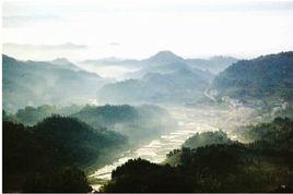 大山裡的哨聲 大山裡的哨聲