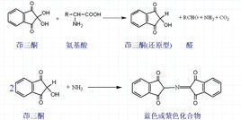 茚三酮反應 茚三酮反應